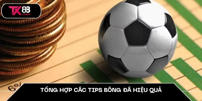 Tips Bóng Đá TX88 - Bí Quyết Dự Đoán Thông Minh, Nâng Cao 4 Tổng hợp các tips bóng đá hiệu quả