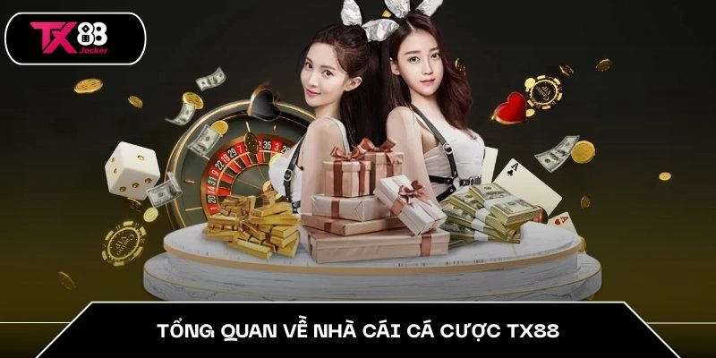 Tổng quan về nhà cái cá cược TX88 Tổng quan về nhà cái cá cược TX88